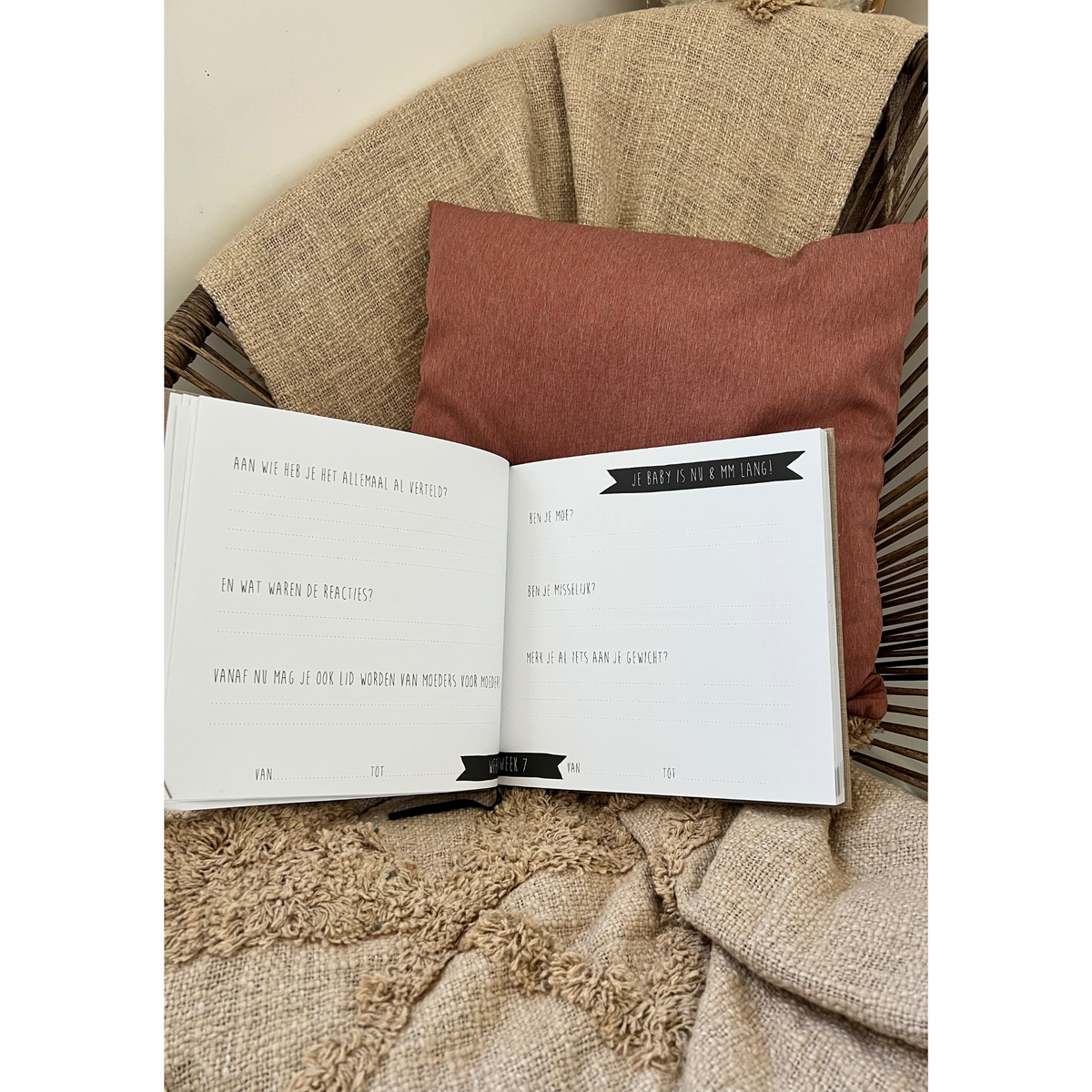 Fill-in book my nine months (earth linen)